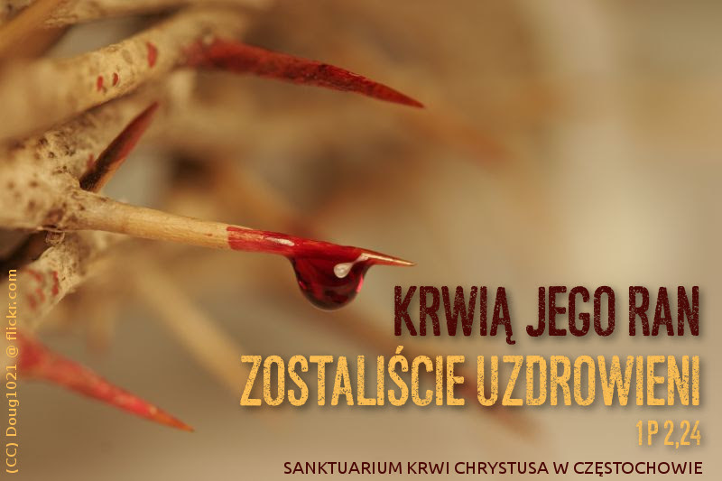 Nowenna do Krwi Chrystusa | Sanktuarium Krwi Chrystusa w ...