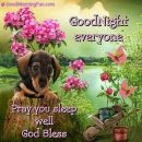 Good Night Every One Wishes