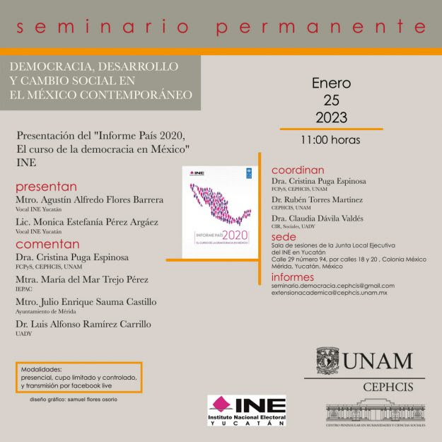 Informe País 2020, El curso de la democracia en México
