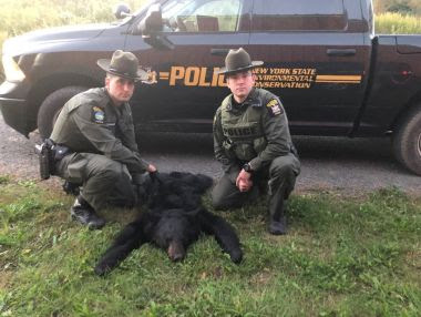 Two ECOs kneel next to dead bear hunted illegally