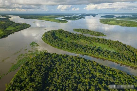 sông Amazon, khám phá khoa học