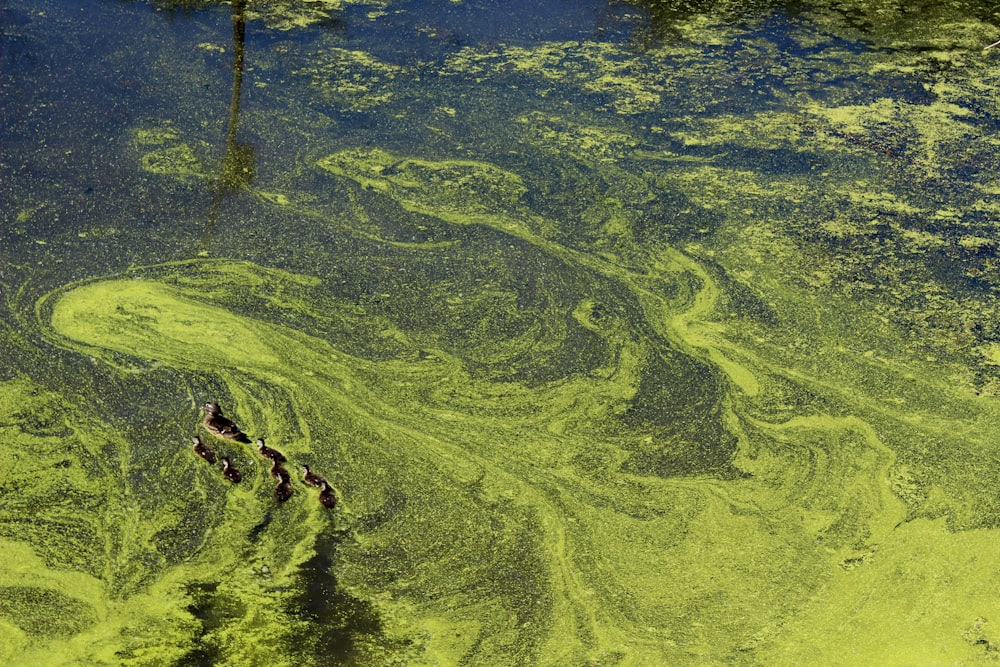 peinture abstraite verte et bleue