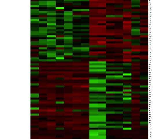 "Crosstalk" between muscle and spleen in Duchenne muscular dystrophy