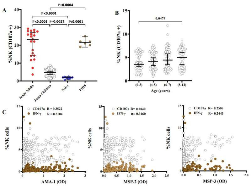 Killing is their job: Two studies analyze natural killer cells as they tackle the worst form of malaria