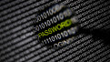 FEM RÅD: Sådan undgår du hackerangreb