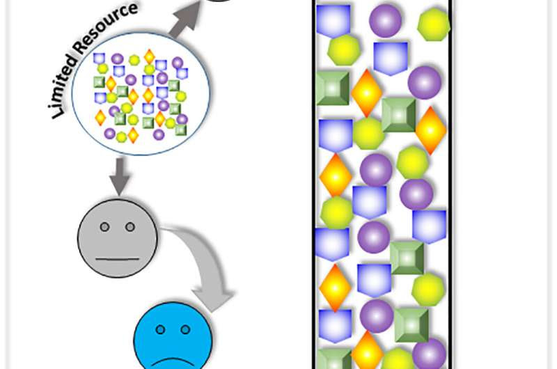 Winner-takes-all synthetic gene circuit process opens new pathways to disease treatment