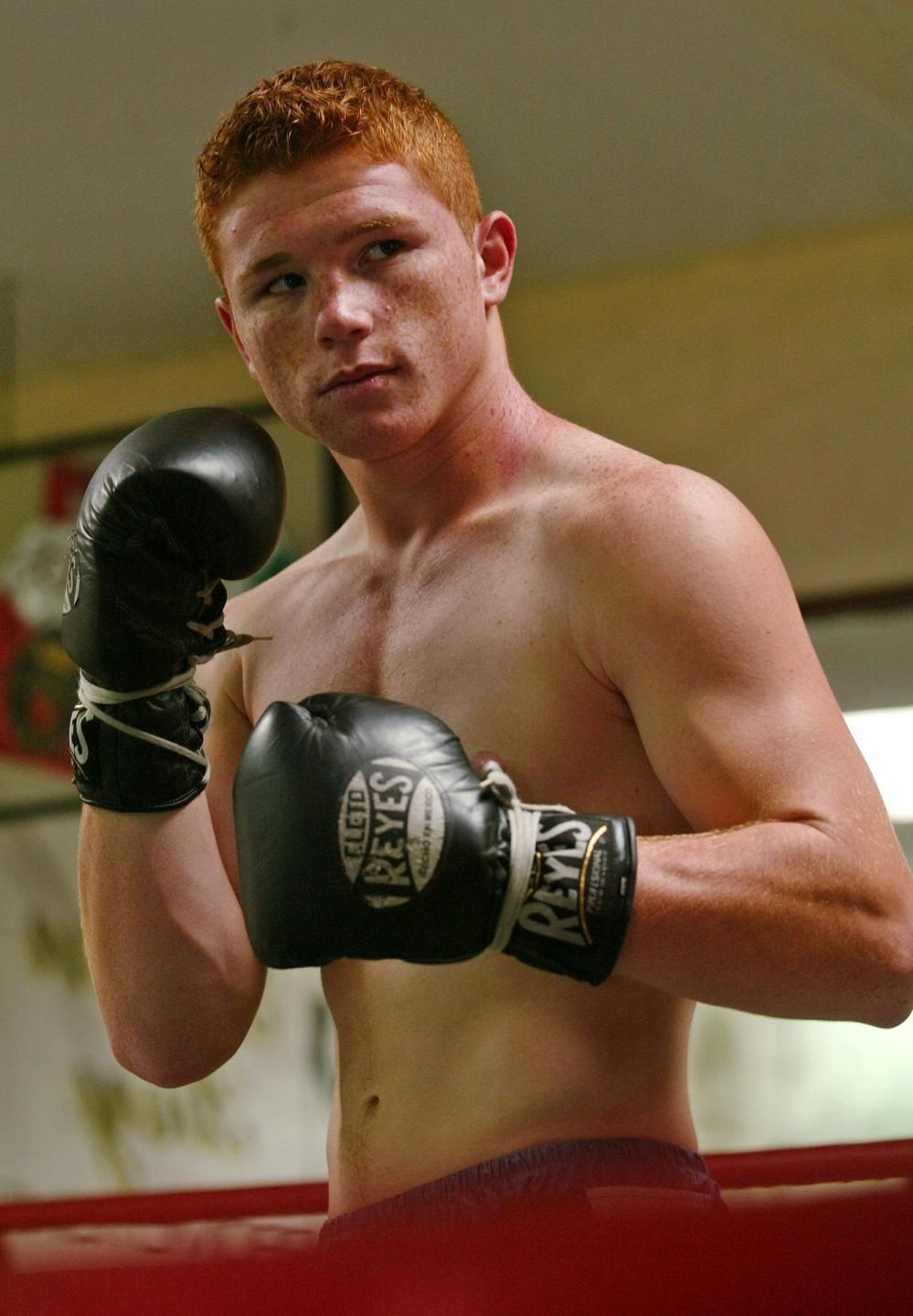 Resultado de imagen para fotos peas Canelo Alvarez