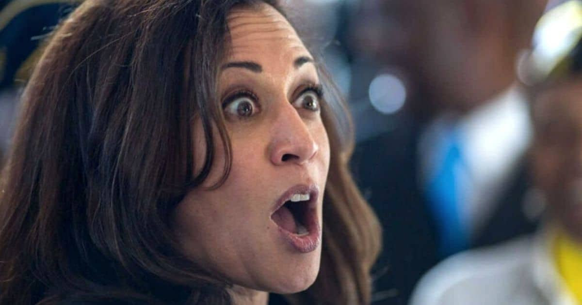 Another Domino Falls on Top of Kamala - Her Latest Pet Project Grinds to a Halt