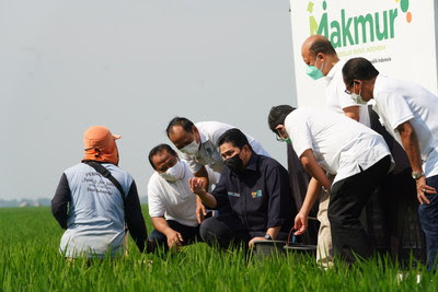 Makmur Program is a collaboration of Indonesian state-owned companies in the Food and Fertilizers, Plantation and Forestry, Financial Services, and Insurance clusters which provides on-farm and off-farm technical assistance.