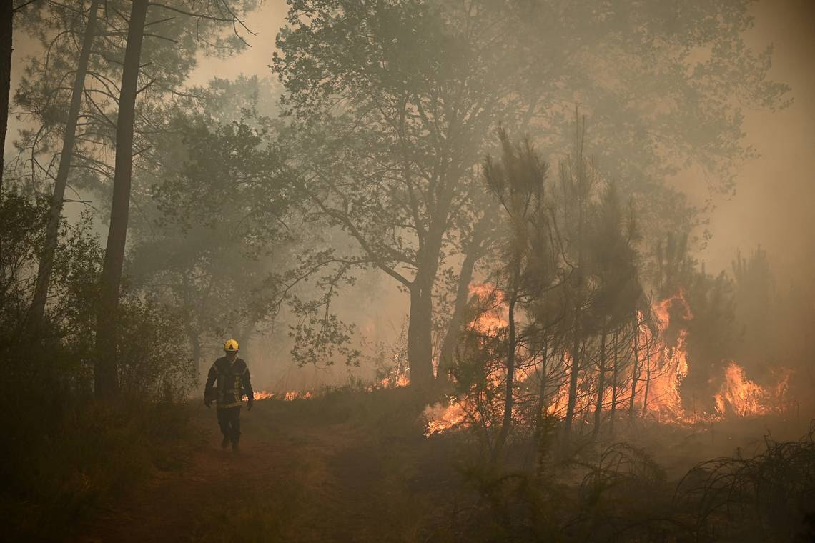 Vuur legt eeuwenoude bossen in as: ‘Klimaatverandering is niet langer iets hypothetisch’