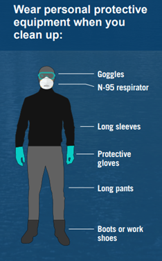 Personal Protective Equipment