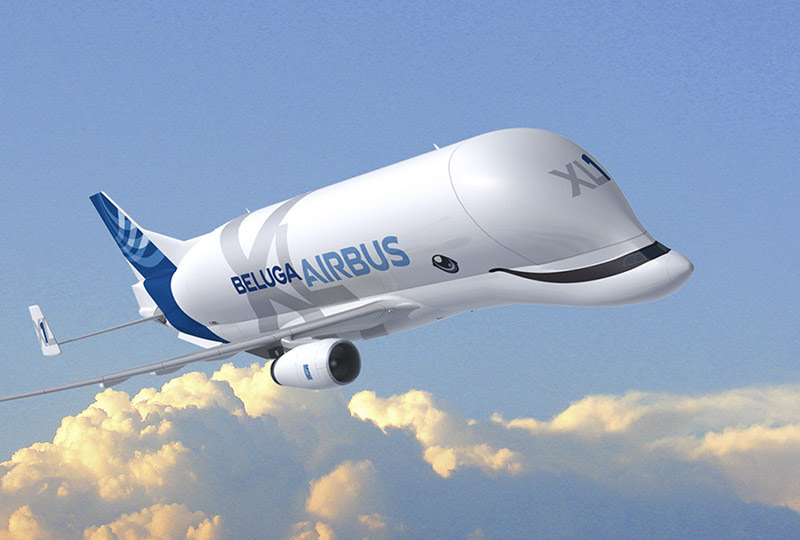 Un sonriente Beluga XL Un sonriente Beluga XL