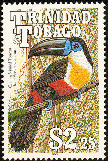 trinidad toucan