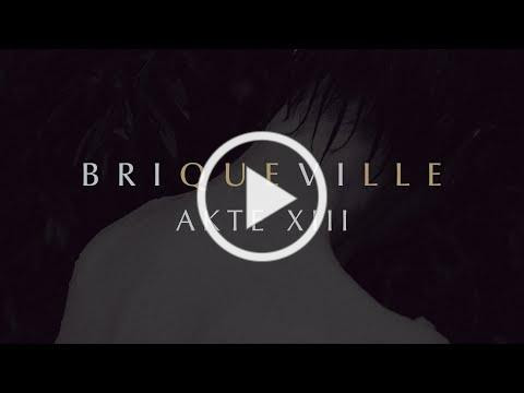 Briqueville - Akte XIII (Official Audio)
