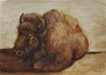 Buffalo laying down-study - Posted on Friday, February 20, 2015 by Veronica Brown