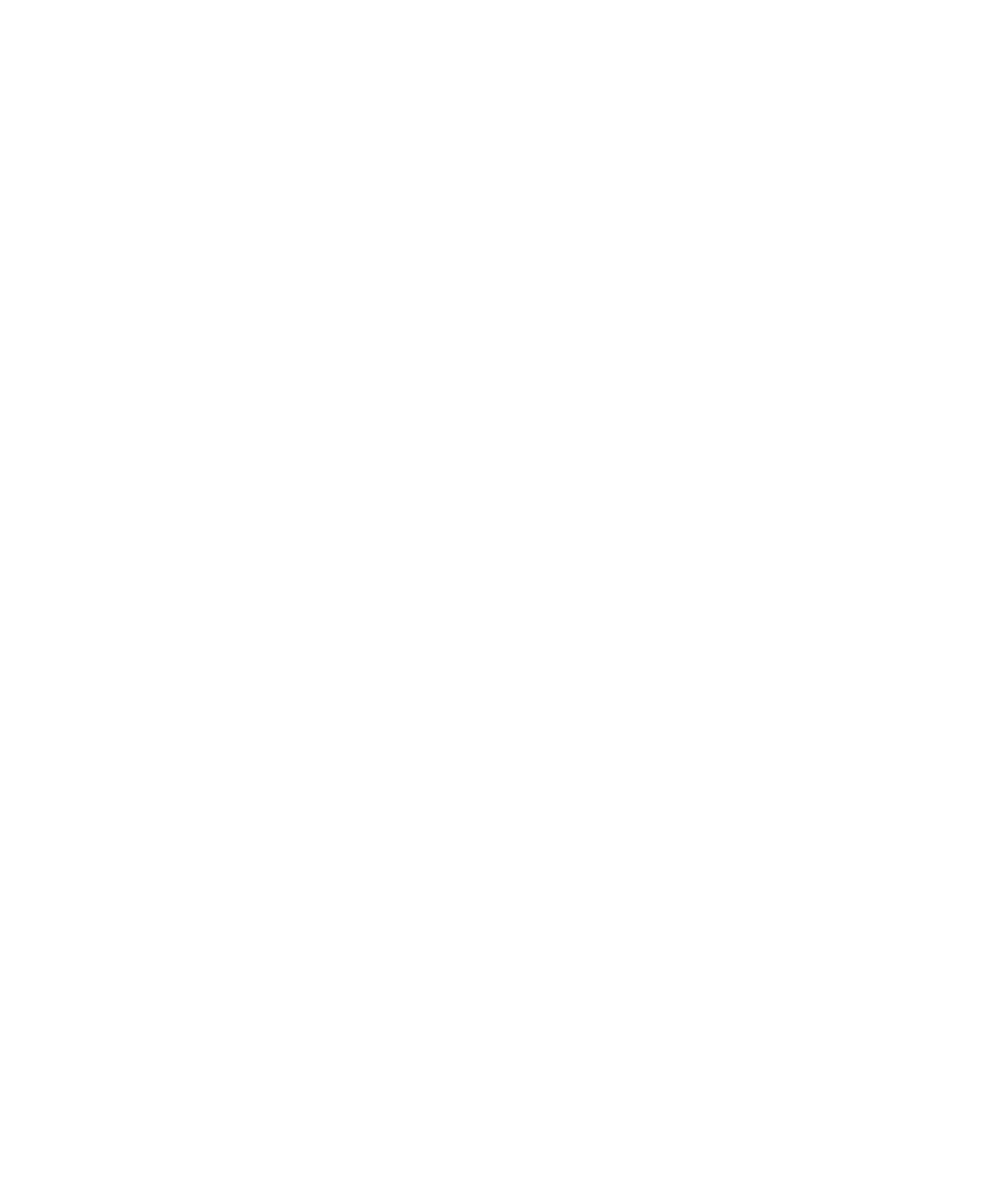 Burnsville Logo