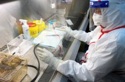 ¿Escapó el coronavirus de un laboratorio chino o este es otro caso en que los bulos corren más rápido que la ciencia?