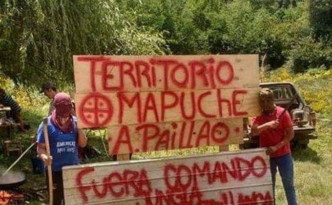 Comunidad Cacique Antonio Paillao ingresó a recuperar terrenos a forestal Mininco en Tirúa