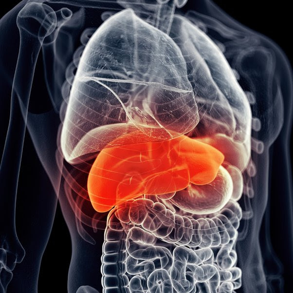 What foods are bad for the liver? Main-qimg-3f14c4f54f2369ec6739653d21e1caad-pjlq
