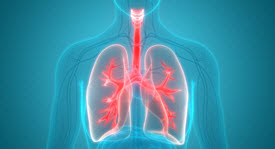 transparent outline of person and their lungs