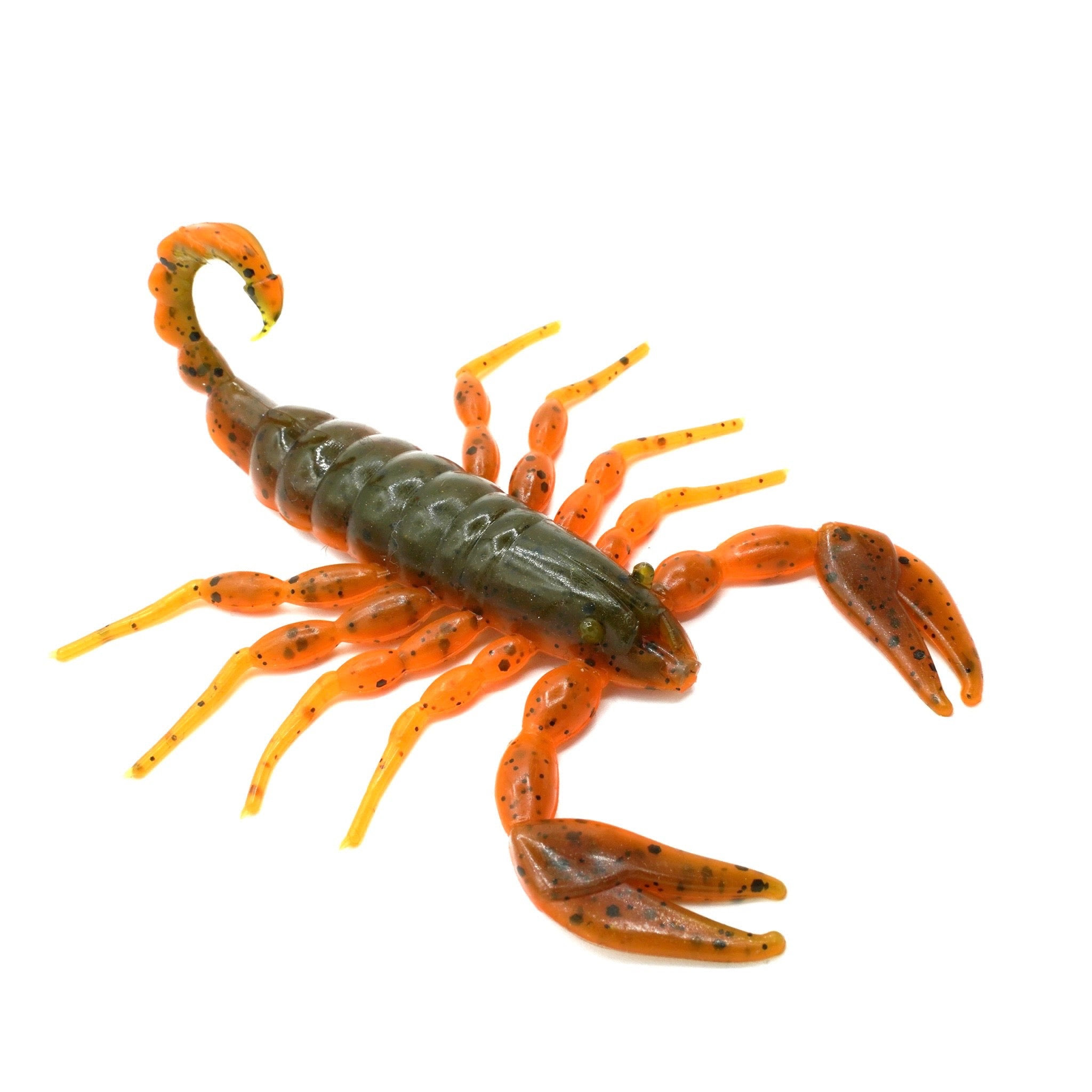 Image of FRESH Scorpion - ALABAMA
