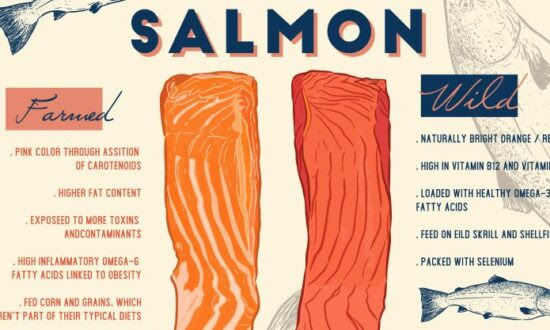 Most Toxic Food in the World? Farmed Salmon.
