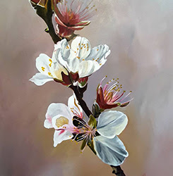 Meron Somers: Almond Blossoms