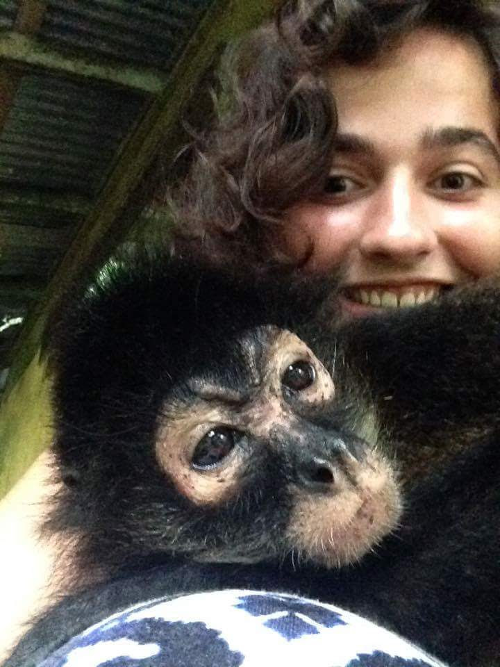 Cassie and Sweetie the spider monkey