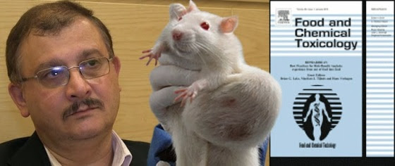http://joseppamies.files.wordpress.com/2014/12/cbb2e-seralini-tumour-rat-food-and-chemical-toxicology-710px.jpg?w=560