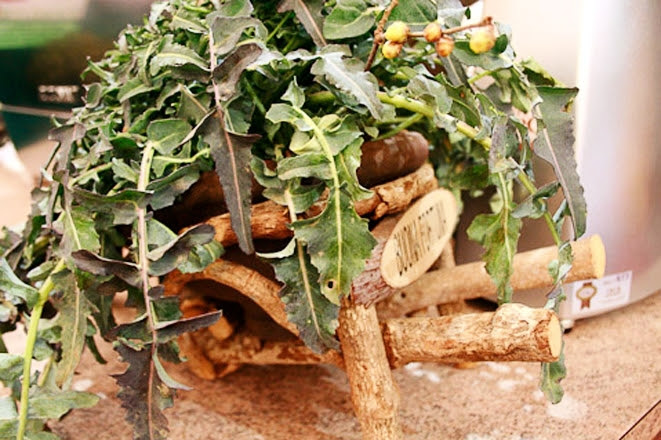 Image Image