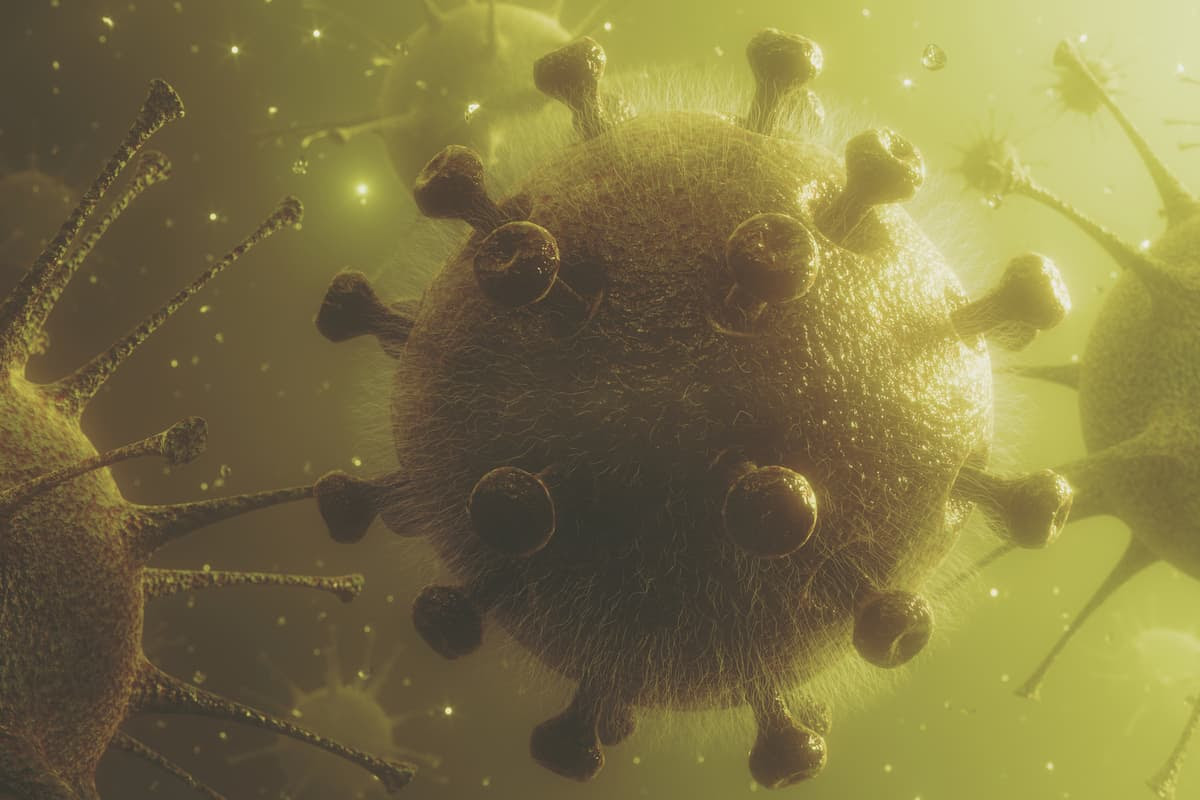 Researchers have developed a new imaging technique that can track viruses before they infect cells