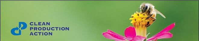 bee_pink_flower_bluetext_banner_email_topborder