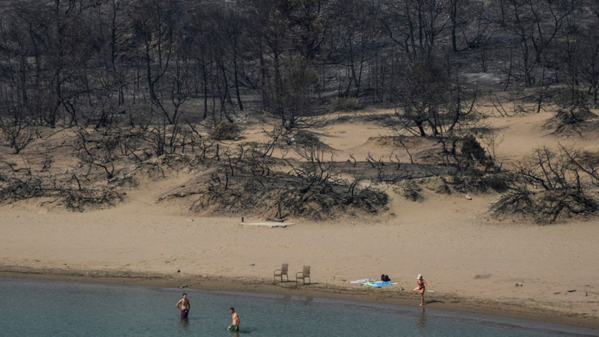 People gather on a beach on the Greek island of Rhodes, standing in front of charred trees and vegetation.