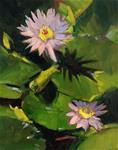 L is for Lily Pads - Posted on Monday, March 2, 2015 by Patti McNutt