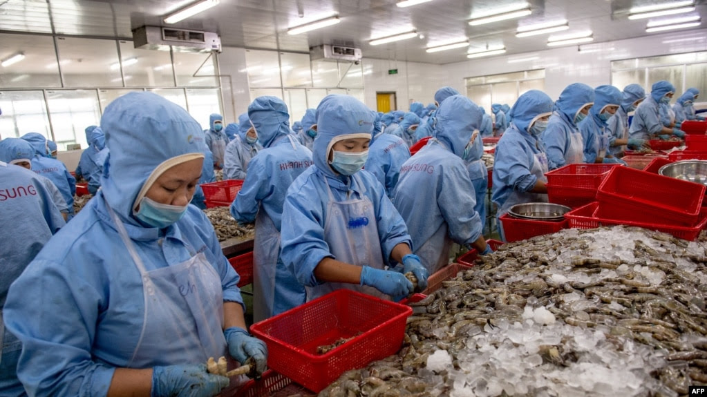 Công nhân tại một nhà máy ở Việt Nam. [Ảnh minh họa]
