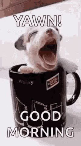 Good-Morning-Dog-Yawn
