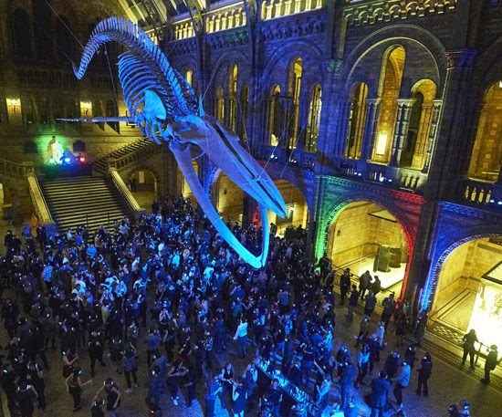 Silent Disco in Hintze Hall