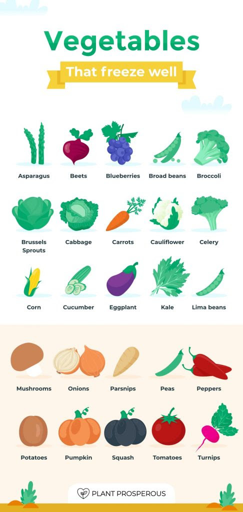 list of all the vegetables that freeze well and hold up after being frozen infographic