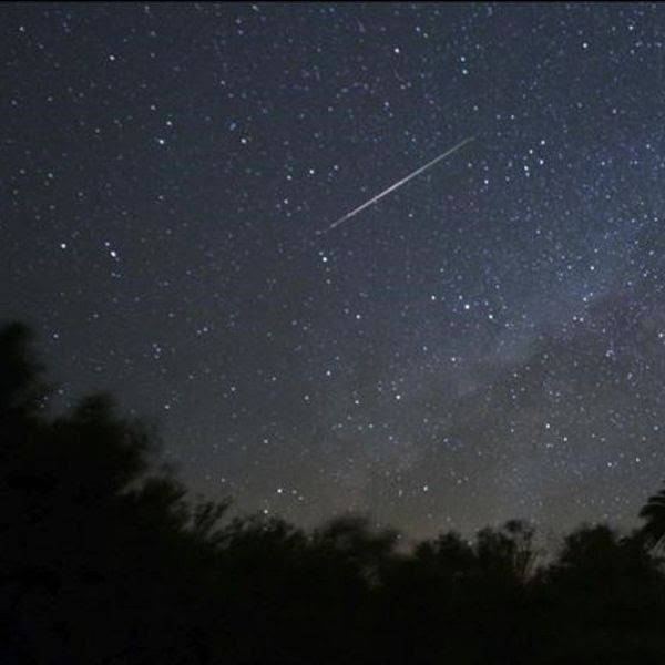 Estrella Fugaz en un cielo nocturno