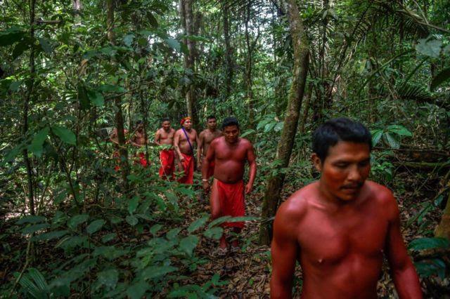 Indígenas amazônicos caminhando pela selva.
