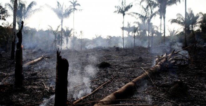 Una de las zonas afectadas por el fuego en la selva del Amazonas. / Reuters