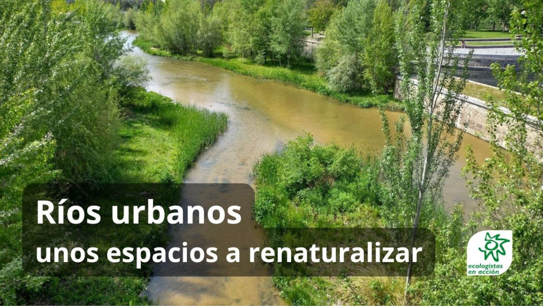 [Vídeo] Ríos urbanos:
unos espacios a renaturalizar
