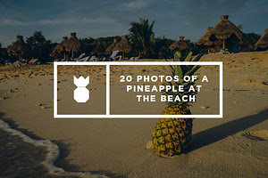 Pineapple's Day at the Beach