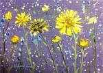 Yellow Daisies - Posted on Friday, February 27, 2015 by Linda Blondheim