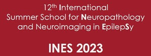 INES 2023 logo