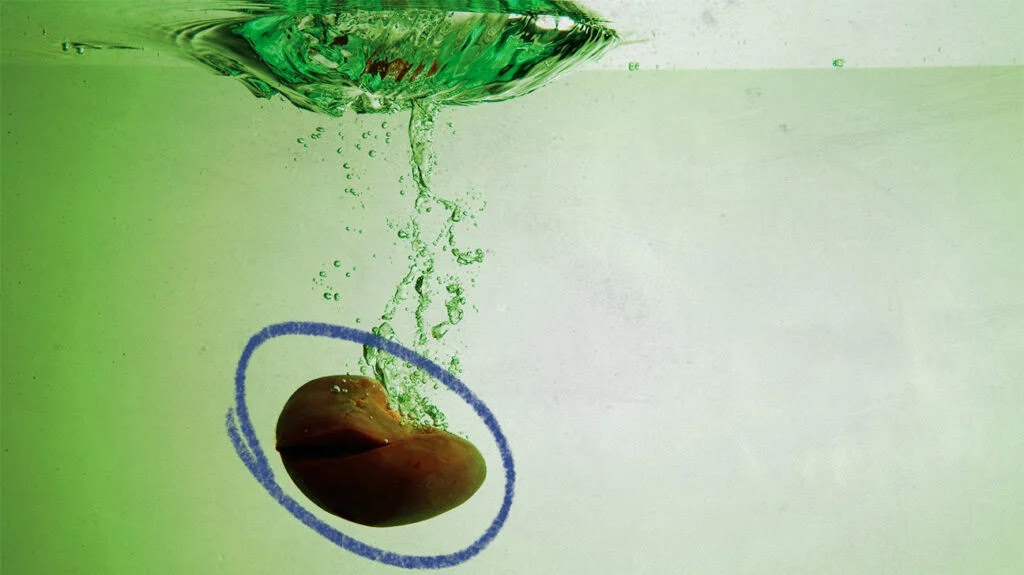 A kidney stone sinking in water.