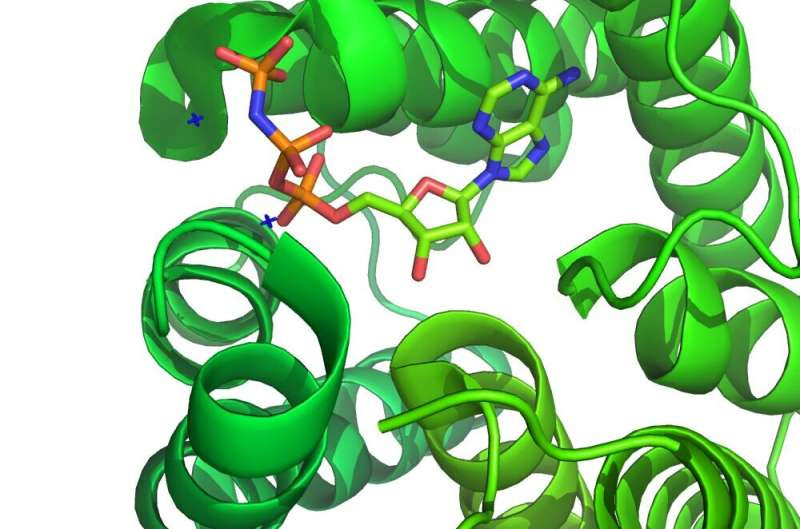 Retooling small molecule kinase inhibitors for Sars-CoV-2