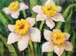 Daffodils - Posted on Wednesday, April 8, 2015 by Nancy F. Morgan