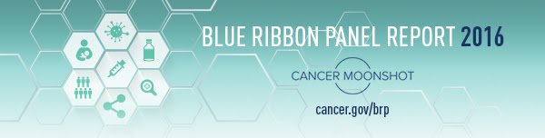 Blue Ribbon Panel Report banner