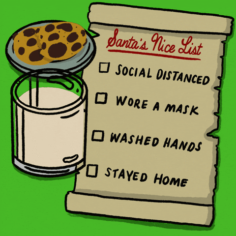 Santa's nice list: Distanced, wore a mask, washed hands, stayed home.